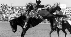 Gila County Rodeo Reunion