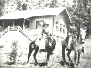 Horse Tradin