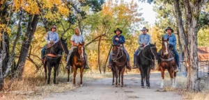 The Fall Roundup